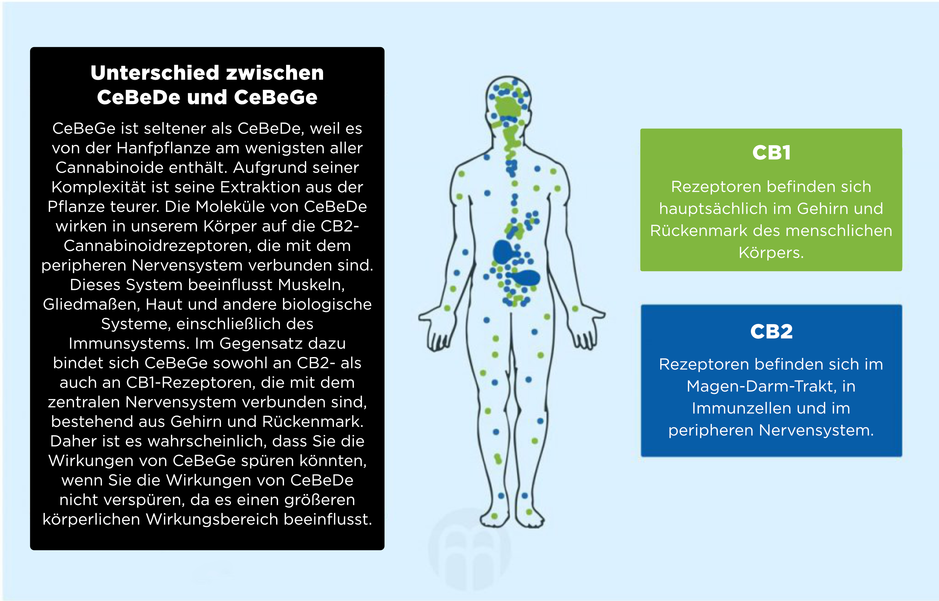 CEBEDE rozdíl_de_1