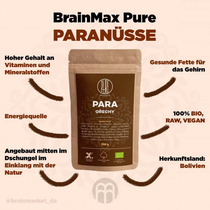 para_pavouk_de